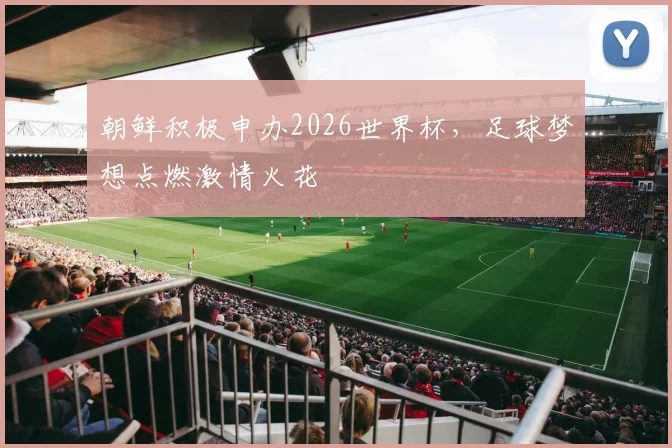 朝鲜积极申办2026世界杯，足球梦想点燃激情火花