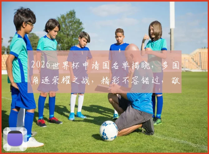 2026世界杯申请国名单揭晓，多国角逐荣耀之战，精彩不容错过，敬请关注