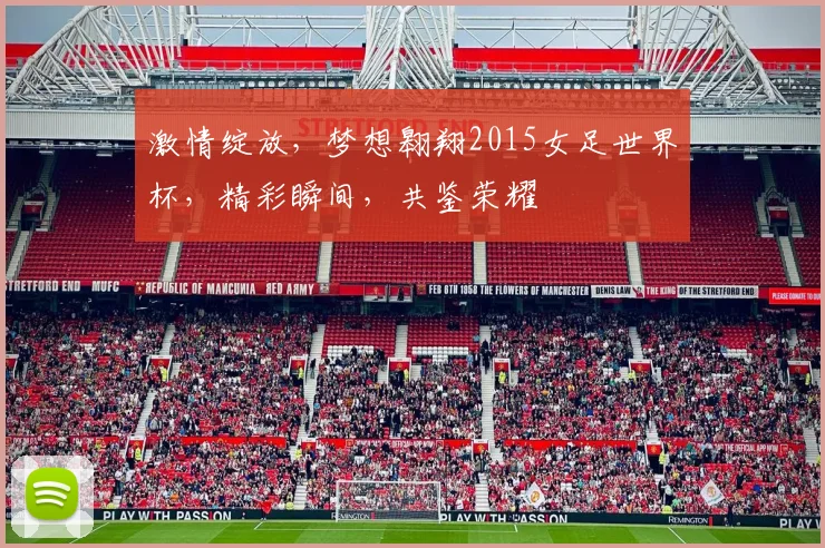 激情绽放，梦想翱翔2015女足世界杯，精彩瞬间，共鉴荣耀