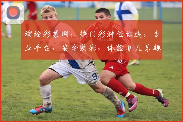缤纷彩票网，热门彩种任你选，专业平台，安全购彩，体验非凡乐趣，尽在缤纷彩票网，快来加入我们