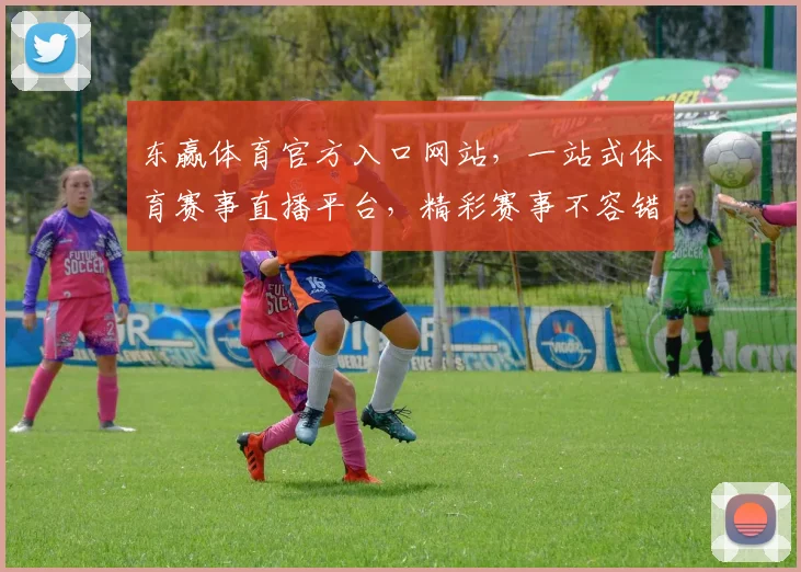 东赢体育官方入口网站，一站式体育赛事直播平台，精彩赛事不容错过，尽在东赢体育，体验非凡
