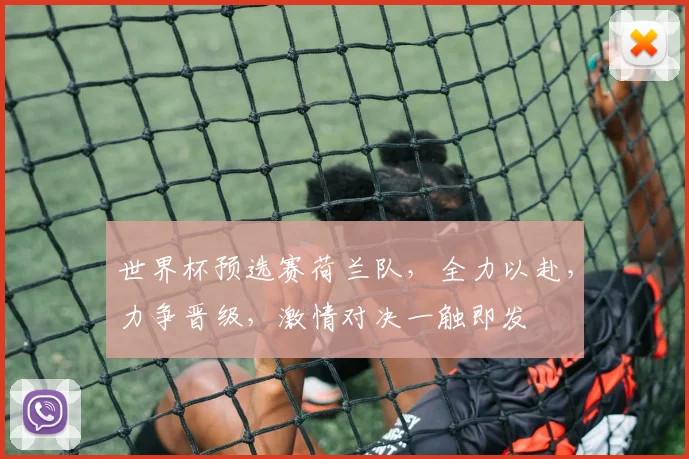 世界杯预选赛荷兰队，全力以赴，力争晋级，激情对决一触即发